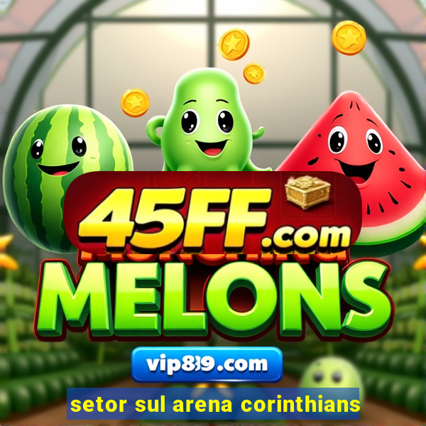 setor sul arena corinthians